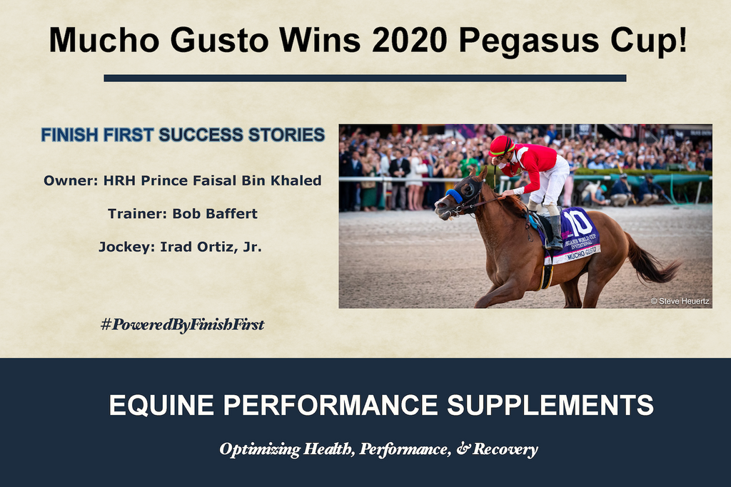 Mucho Gusto Destroys Competition
