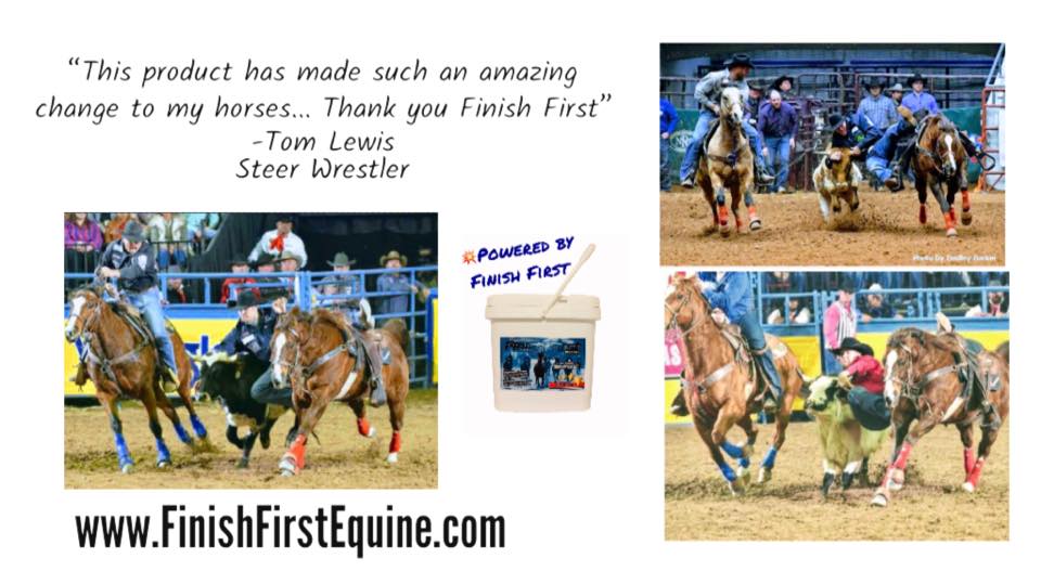 Champion Steer Wrestling Horse, MAVERICK, is Powered by Finish First