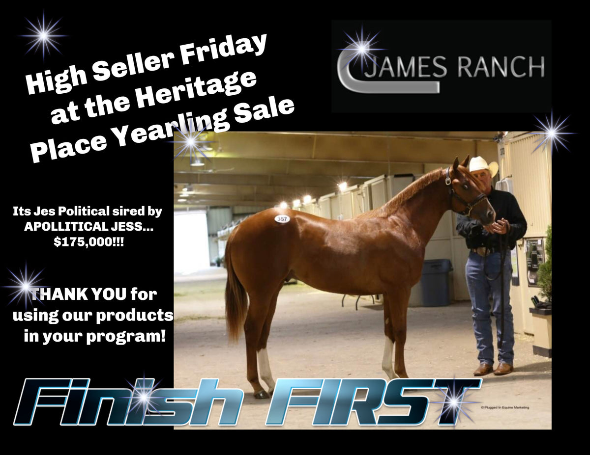 High Selling Yearling Uses FFE Horse Supplements Finish First Equine