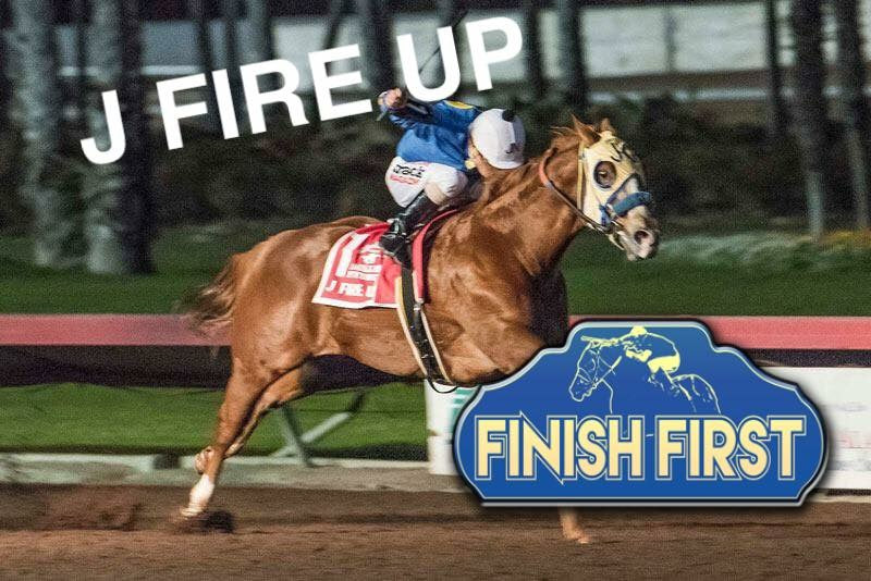 Building Champions with Finish First Horse Supplements